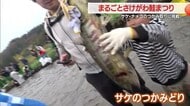 村のシンボル・サケを 満喫する「まるごとさけがわ鮭まつり」　山形・鮭川村