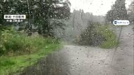 【ダブル台風】台風24号発生に18号復活　猛暑のなか豪雨被災地で片付け作業も　各地でゲリラ雷雨や警報級大雨の恐れ