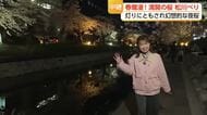 【中継2】春爛漫！満開の桜 松川べり　灯りにともされ幻想的な夜桜