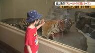 「迫力があってかっこいい」トラが目の前に！　「アムールトラの森」オープン　針葉樹や水浴び用の池、休憩用の穴など“生息地に近い環境”　エアコンで暑さ対策も　整備費4億6000万円　長野市の茶臼山動物園
