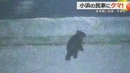 「獣のすごい声を聞いた」うろつくクマの姿が住宅の防犯カメラに 小浜市で出没相次ぐ 市が戸締りなど注意喚起 【福井】
