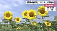 「こんな広いところでヒマワリがきれいに見られるので好き」兵庫・佐用町に夏の風物詩「ヒマワリ畑」がオープン　町内3カ所で計56万本が見られる予定