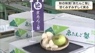秋の味覚「京たんご梨」出荷始まる　糖度11.5度以上、傷がなく見た目も美しい選ばれた梨　雨少なくても「大きく甘みと酸味のバランス良い」