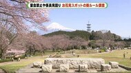 お花見スポット コロナ禍の“新ルール”は? 宴会禁止や見回りも 静岡