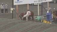 騎手が馬の顔けり批判殺到 「言うこと聞かずイライラ」