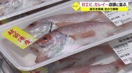 おいしいシーズン到来 甘エビなどスーパーの店頭に【福井・底引網解禁】