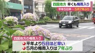四国地方が早くも梅雨入り 平年より5日早く5月は7年ぶり【愛媛】