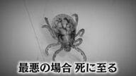急増「草むらの吸血鬼」マダニ　驚くほど身近な場所に…専門家に聞く「生態と対処法」 感染症が重症化すると死に至ることも