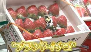 大人気の“ブランドイチゴ”食べ比べ!専門家が教える「甘いイチゴ選びはココを見よ!」