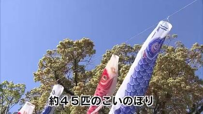 「見る機会少ない子供たちに親しんでもらいたい」　神社に45匹のこいのぼり　大分