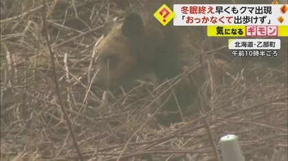 「おっかなくて出歩けない」冬眠終え早くもクマ出没　同じ個体か…8日連続で目撃　北海道・乙部町