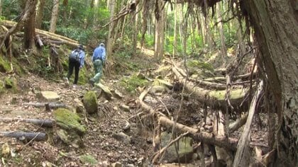 合格祈願のパワースポット「落書き堂」豪雨で参道崩壊…修復いまだ手つかず【佐賀発】