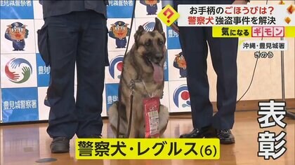 警察犬が“お手柄” 強盗事件を解決 履物のにおいを手がかりに…ご