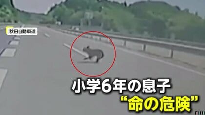 死んでる象 独自】「初めて命の危険感じた」高速道路でクマ飛び出し衝突寸前