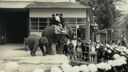 老舗の遊園地「別府ラクテンチ」にはゾウがいた！？実は超本気な“動物園”だったスゴイ遊園地のヒミツ【大分発】