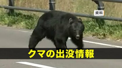 【クマ出没】宮古市の入浴施設敷地内に出没した子グマ1頭捕獲　岩手県