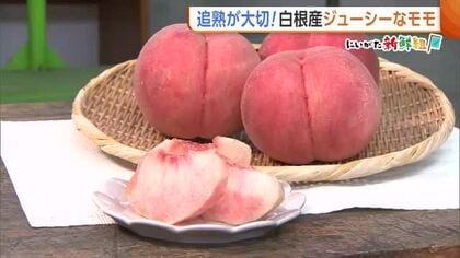 「とろける甘さ」新潟・白根産のジューシーな“モモ”　食べ頃のサインは香り！“追熟”でよりおいしく