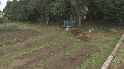 富山市でクマの出没相次ぐ、住宅敷地横切る成獣クマや未明に走行中の車と接触するクマも