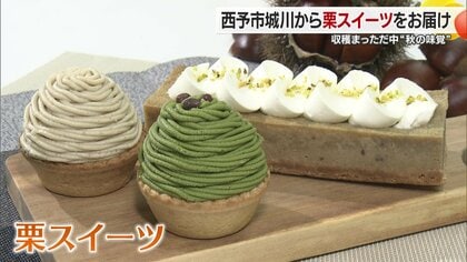 年間３万個売れる人気モンブランとは？「栗そのものが地元に愛される」愛媛県西予市の栗スイーツ　【愛媛発】