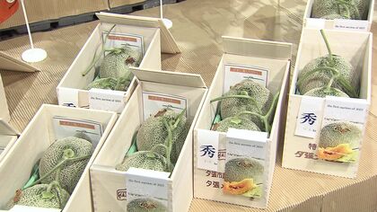 【直近10年で2番目の安値】初夏の味覚夕張メロン初競り！今年の最高値は2玉で100万＿2024年の300万から大幅ダウン「例年より落ち着いた雰囲気」世相を映すメロンの初競りを取材！