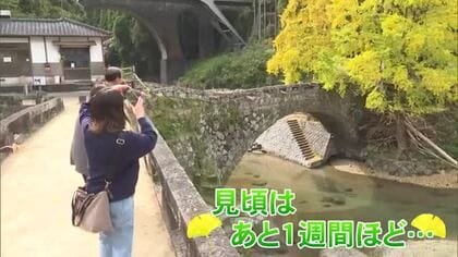 『恋人の聖地』二俣橋 黄葉見頃 被災に負けずカフェも営業【熊本】