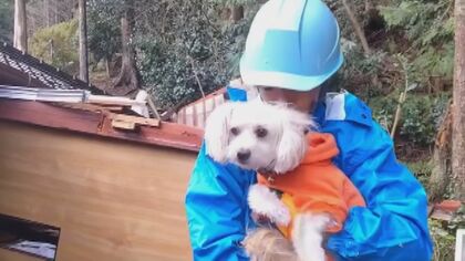 帰らぬ主人を待ち続ける犬の「ハナ」　1カ月ぶり再会できた猫の「しゅん」　被災地でペットを探すボランティア『助けられる命があれば行く。家族のもとに帰したい』