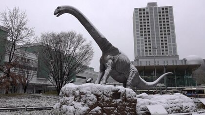 氷河期にタイムスリップ？恐竜も雪化粧「年末寒気」暴風雪に要警戒！ホワイトアウト発生…大雪の関東で車立ち往生も