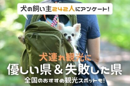 犬連れ観光に優しい県ランキング 行って失敗した県や全国のおすすめ