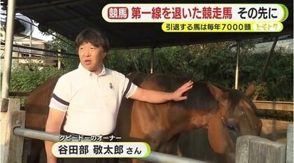 引退する競走馬は毎年7000頭 地方競馬では”行方知れず”の馬も多数 中に