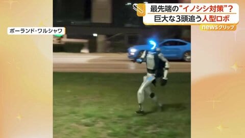 話題のインフルエンサー“人型ロボット”が巨大イノシシ追い払う　市街地で買い物やバス乗車、議会を訪れる姿も　ポーランド