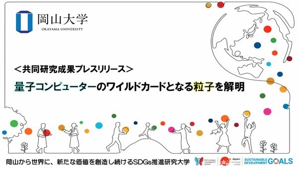 量子コンピューターのワイルドカードとなる粒子を解明