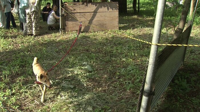 参加者は犬が動きやすいリードのつなぎ方なども学んだ
