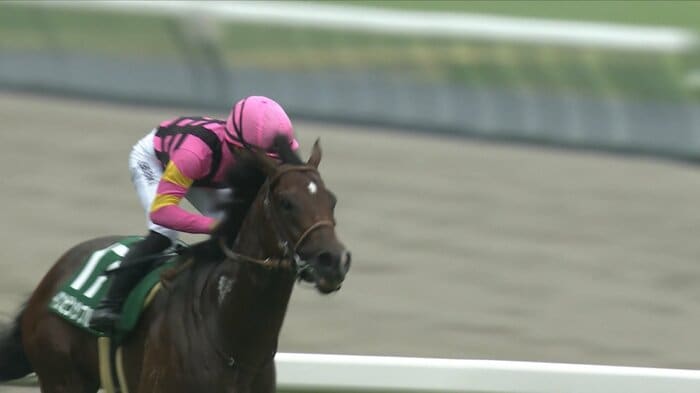 2025年 CBC賞を制したインビンシブルパパ