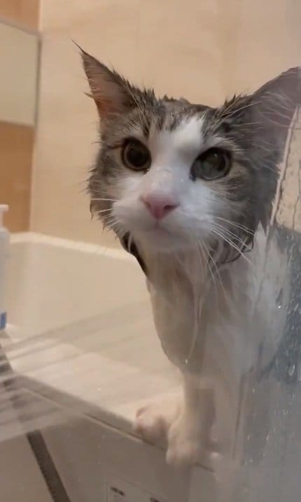 顔にお湯がかかってもへっちゃら!