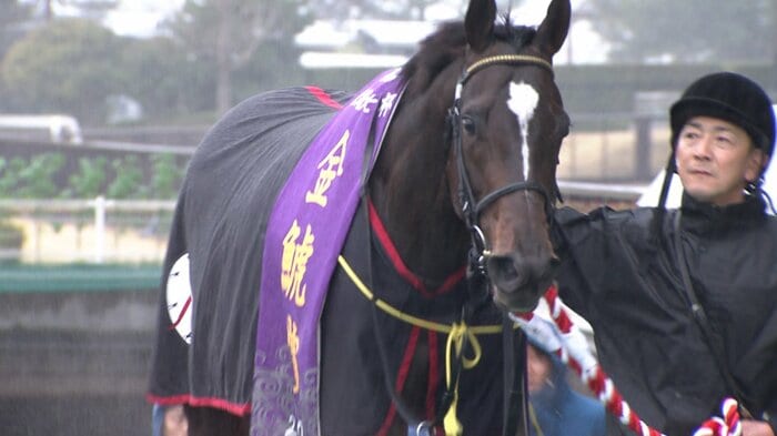 2025年の金鯱賞を制したクイーンズウォーク