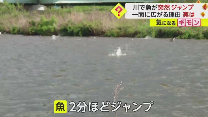 (画像:FNN投稿サイト「ビデオPost」)