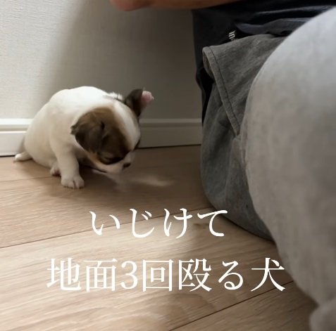 大~きく振り上げて…