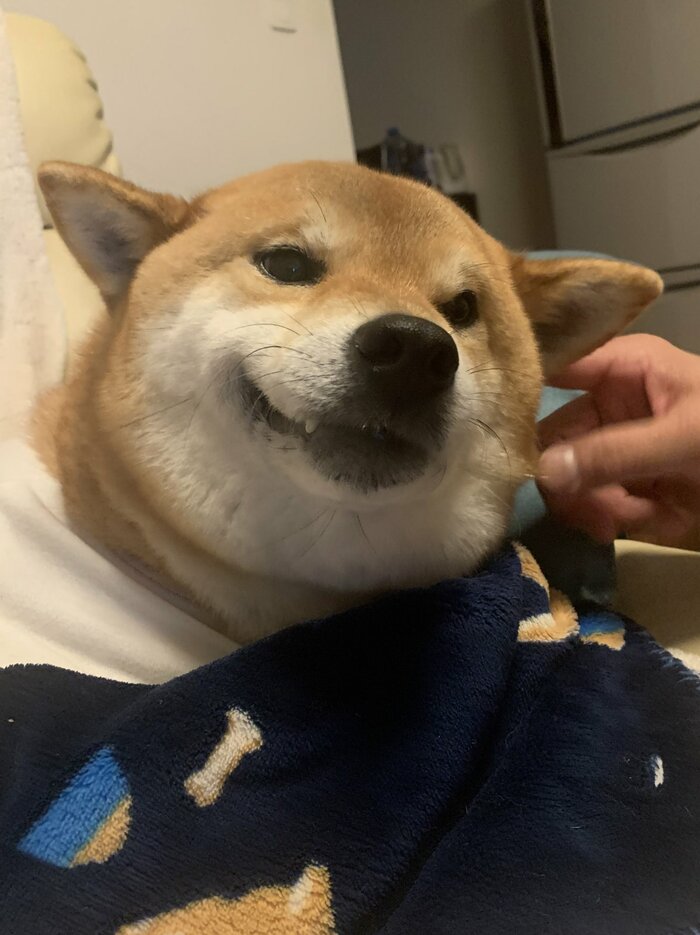 銀次くん