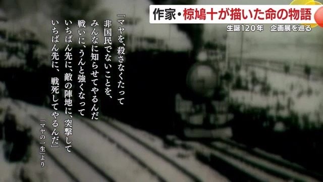 マヤを守りたい一心で、子どもが放った言葉(「マヤの一生」より)