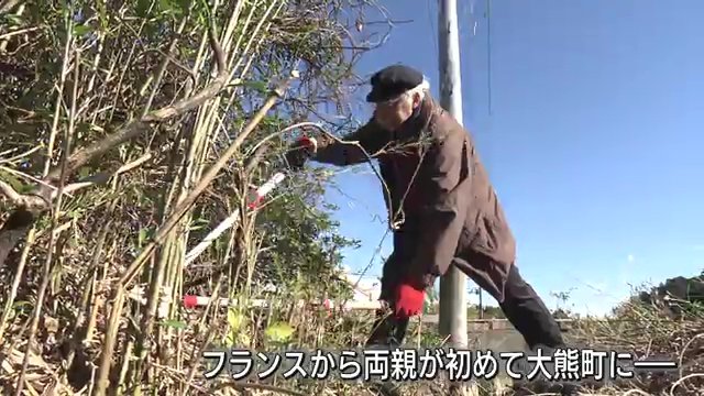初めは心配していた両親も暮らしぶりをみて安心