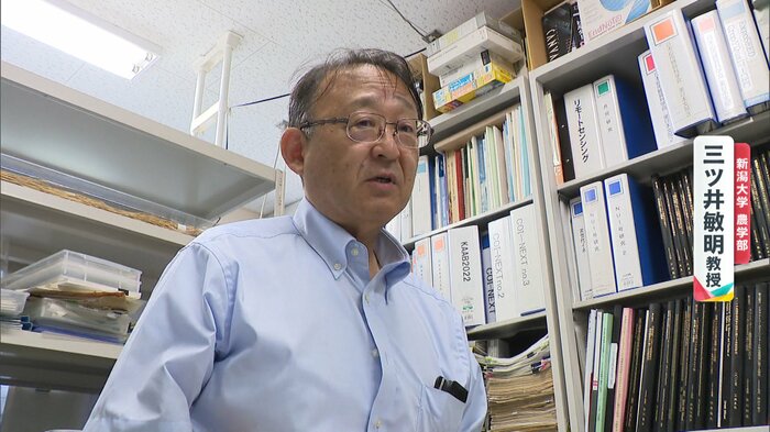 (新潟大学農学部 三ツ井敏明教授)