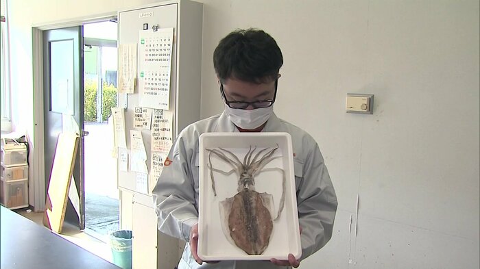 貴重な標本に