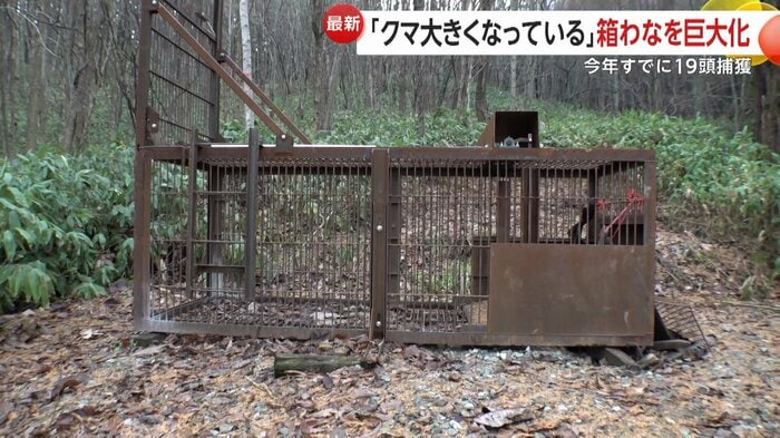 高さ・幅は1.2メートル、奥行きは3メートルあるという“おり”