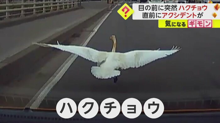 (FNN投稿サイト「ビデオPost」)