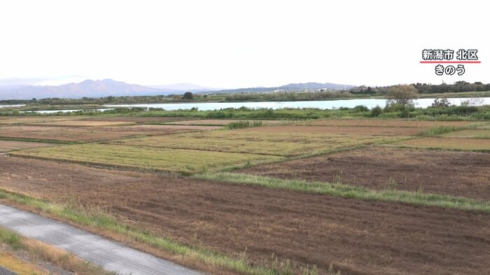 (道路の反対側では茶色の風景が広がる)