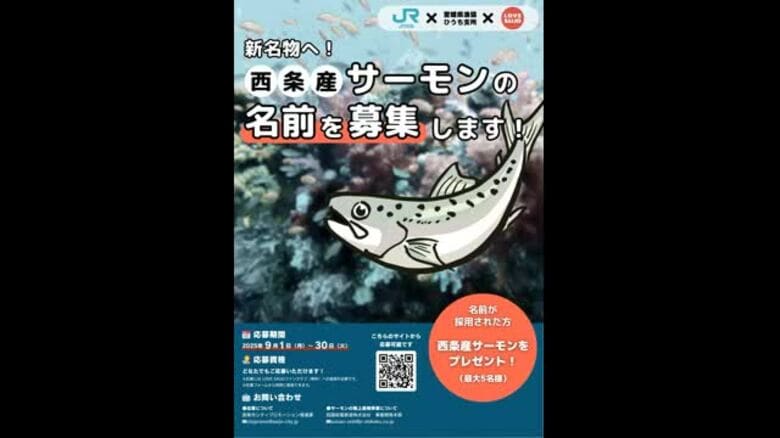 名水「うちぬき」で陸上養殖の西条産サーモン　ブランド名の公募始まる　今年１２月に初出荷【愛媛】｜FNNプライムオンライン