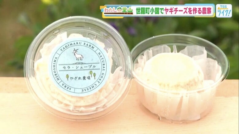 手搾りミルクの「ヤギチーズ」 コメ農家の親子が挑む新しい農業 辰已アナウンサーの“里山アポなし旅”【広島発】|FNNプライムオンライン