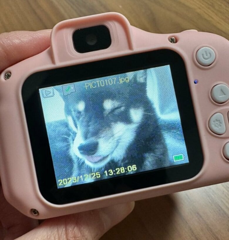 「イケすぎてる」2歳娘が撮った愛犬の写真がセンスあふれる…他にはどんな写真がある？“名カメラマン”っぷりを聞いた｜FNNプライムオンライン