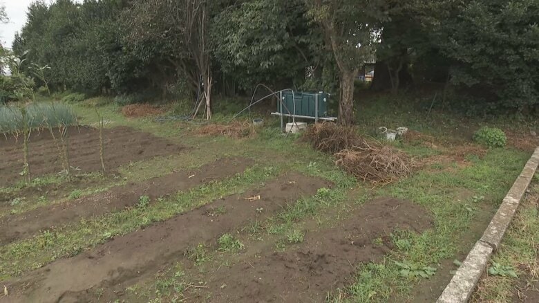 富山市でクマの出没相次ぐ、住宅敷地横切る成獣クマや未明に走行中の車と接触するクマも｜FNNプライムオンライン