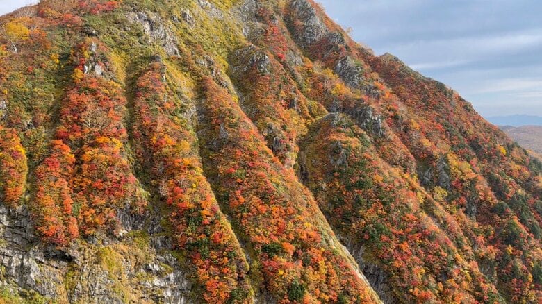 今年は山の紅葉の“当たり年”！ 山好き気象予報士が伝える「麓の気温から山の見頃を計算する方法」｜FNNプライムオンライン